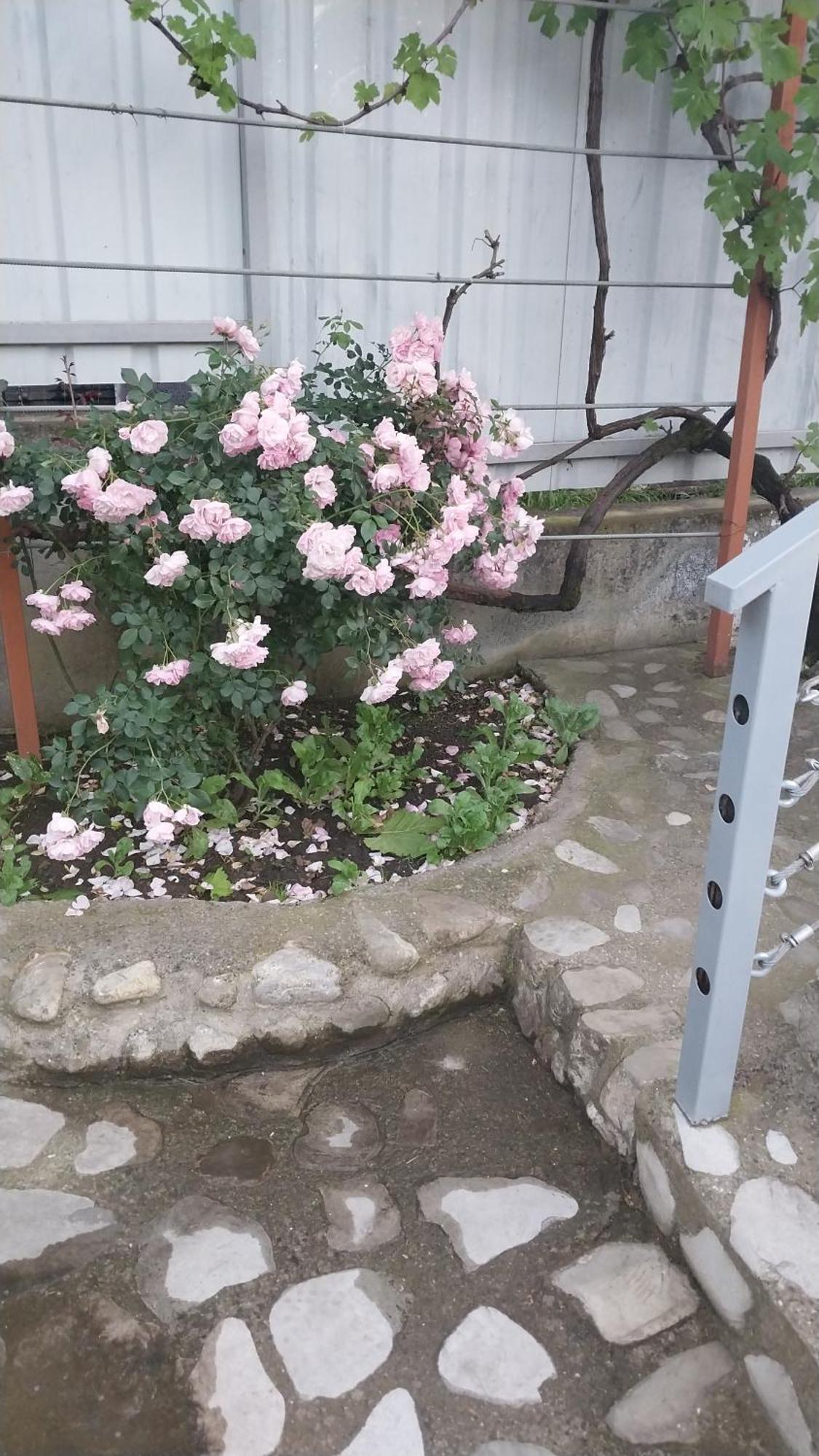Vigor Hotel Sighnaghi Luaran gambar